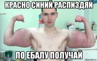 красно синий распиздяй по ебалу получай