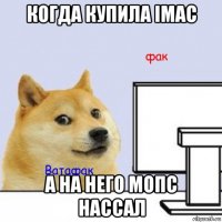 когда купила imac а на него мопс нассал