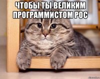 чтобы ты великим программистом рос 