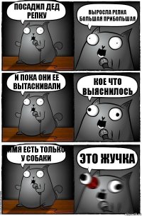 посадил дед репку выросла репка большая прибольшая И пока они ее вытаскивали кое что выяснилось имя есть только у собаки ЭТО ЖУЧКА