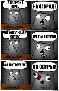 Я встретил перец На огороде Он пошутил, а я сказал Ну ты остряк Все потому что Он острый