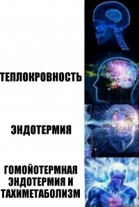  Теплокровность Эндотермия Гомойотермная эндотермия и тахиметаболизм