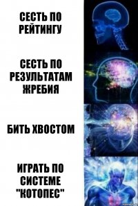 Сесть по рейтингу Сесть по результатам жребия Бить хвостом Играть по системе "Котопес"