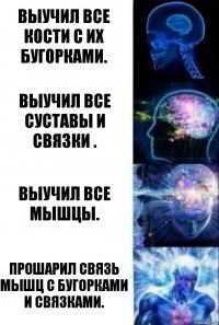 Выучил все кости с их бугорками. Выучил все суставы и связки . Выучил все мышцы. Прошарил связь мышц с бугорками и связками.