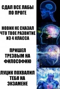 сдал все лабы по проге новик не сказал что твое развитие из 4 класса пришел трезвым на философию луцик похвалил тебя на экзамене