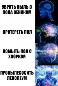 убрать пыль с пола веником протереть пол помыть пол с хлоркой пропылесосить ленолеум