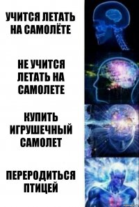 Учится летать на самолёте Не учится летать на самолете Купить игрушечный самолет Переродиться птицей