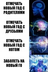 Отмечать новый год с родителями Отмечать новый год с друзьями Отмечать новый год с котом Заболеть на Новый го