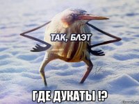  где дукаты !?