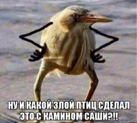  ну и какой злой птиц сделал это с камином саши?!!