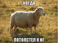 когда потолстел к нг