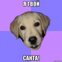 я твой санта!