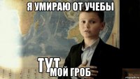 я умираю от учебы мой гроб