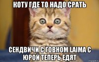 коту где то надо срать сендвичи с говном laima с юрой теперь едят