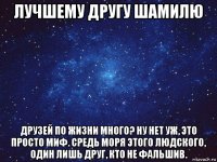 лучшему другу шамилю друзей по жизни много? ну нет уж, это просто миф. средь моря этого людского, один лишь друг, кто не фальшив.