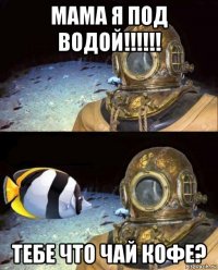 мама я под водой!!!!!! тебе что чай кофе?