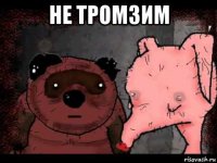 не тромзим 