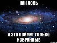 как лось и это поймут только избранные