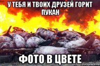 у тебя и твоих друзей горит пукан фото в цвете