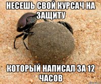 несешь свой курсач на защиту который написал за 12 часов