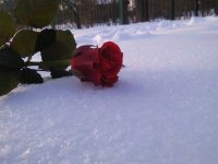 Создать мем ЛЮБОВЬ