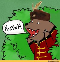 Создать мем Мишка крепкая шишка