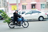 Создать мем Ночные волки