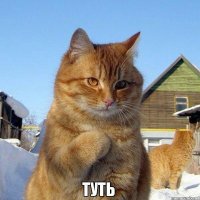 Создать мем Ррр
