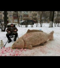 Создать мем Рыба