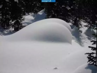 Создать мем Замануха
