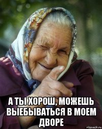  а ты хорош, можешь выебываться в моем дворе