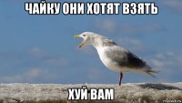 чайку они хотят взять хуй вам
