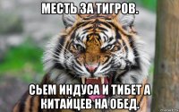 месть за тигров. сьем индуса и тибет а китайцев на обед.