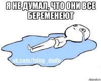 я не думал, что они все беременеют 