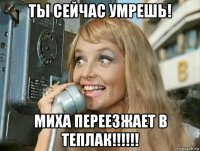 ты сейчас умрешь! миха переезжает в теплак!!!!!!