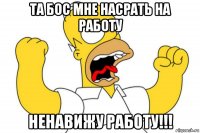 та бос мне насрать на работу ненавижу работу!!!