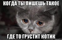 когда ты пишешь такое где то грустит котик