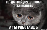 когда твой друг позвал тебя выпить а ты работаешь