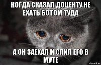 когда сказал доценту не ехать ботом туда а он заехал и слил его в муте