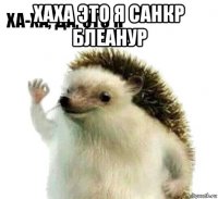 хаха это я санкр блеанур 