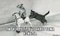  пит кэрролл выгоняет тома кэйбла.