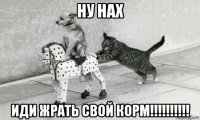 ну нах иди жрать свой корм!!!!!!!!!!