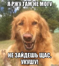 я ржу там не могу не зайдешь щас, укушу!