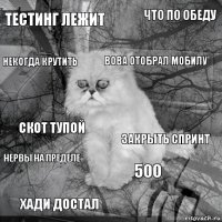 тестинг лежит закрыть спринт вова отобрал мобилу хади достал скот тупой что по обеду 500 некогда крутить нервы на пределе 