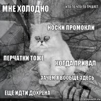 Мне холодно Когда привал Носки промокли Ещё идти дохрена Перчатки тоже Кто-то что-то требует Зачем я вообще здесь   