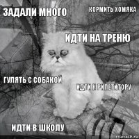 Задали много идти к рипетитору идти на треню идти в школу гулять с собакой кормить хомяка    