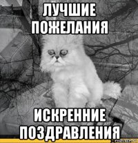 лучшие пожелания искренние поздравления