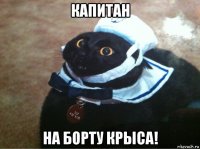 капитан на борту крыса!