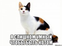  я слишком умный чтобы быть котом
