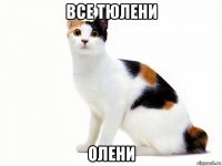 все тюлени олени